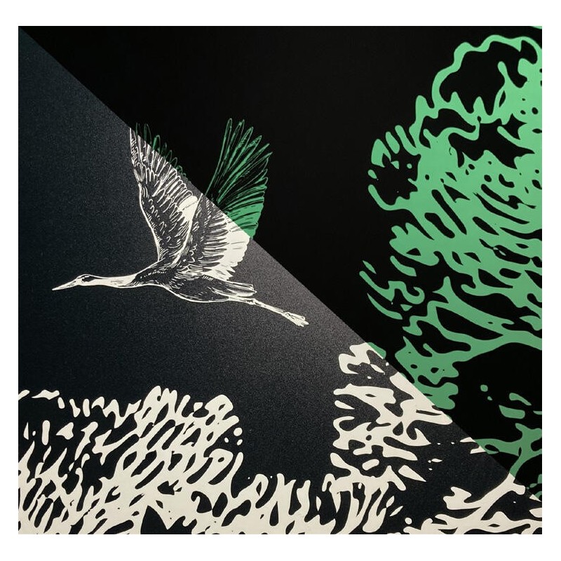 HEXGLOW01 - Film Photoluminescent